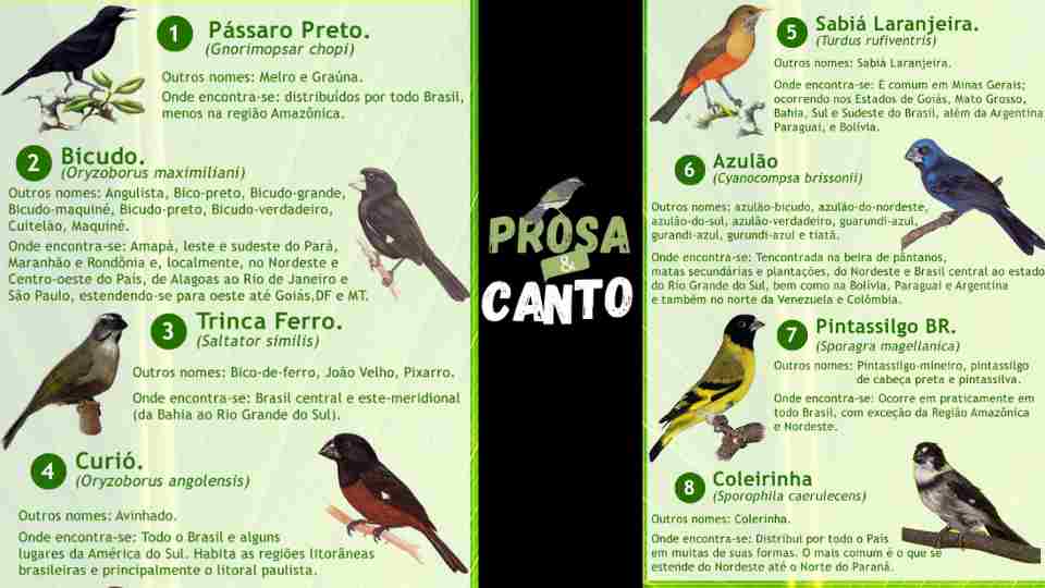 01 Pagina